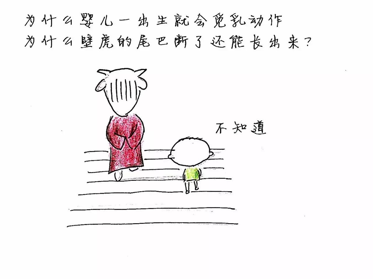 broken image